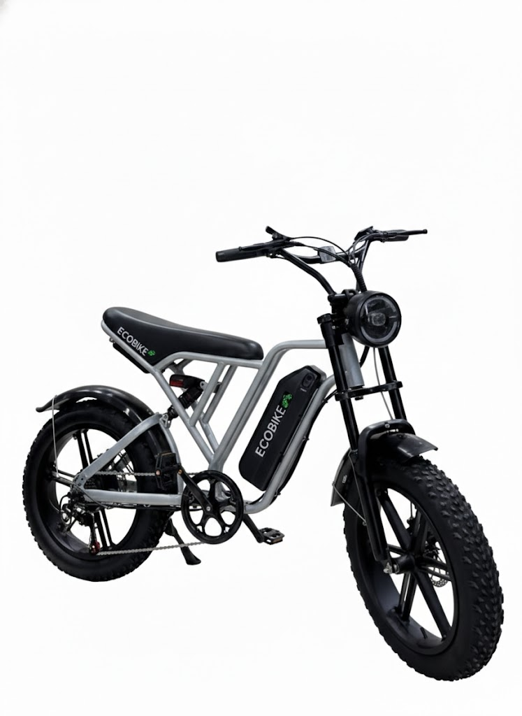 Eco Bike Elétrica