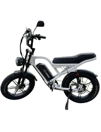 Bike Elétrica X30